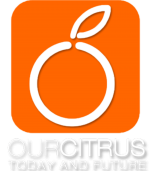 Logo Citrus Jeruk1